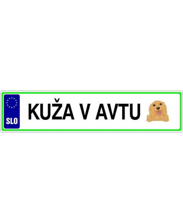 Kuža v avtu_slika2