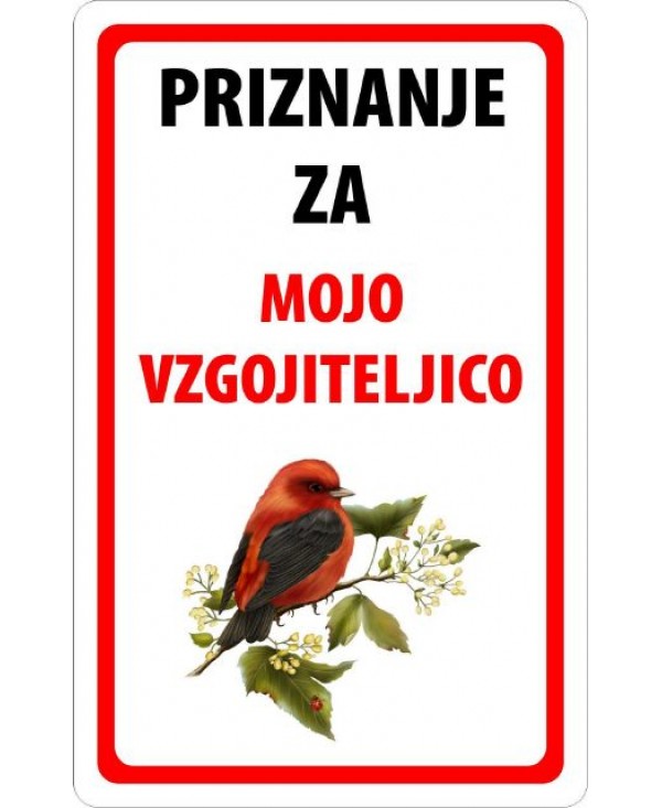 47 - Najboljša učiteljica - B